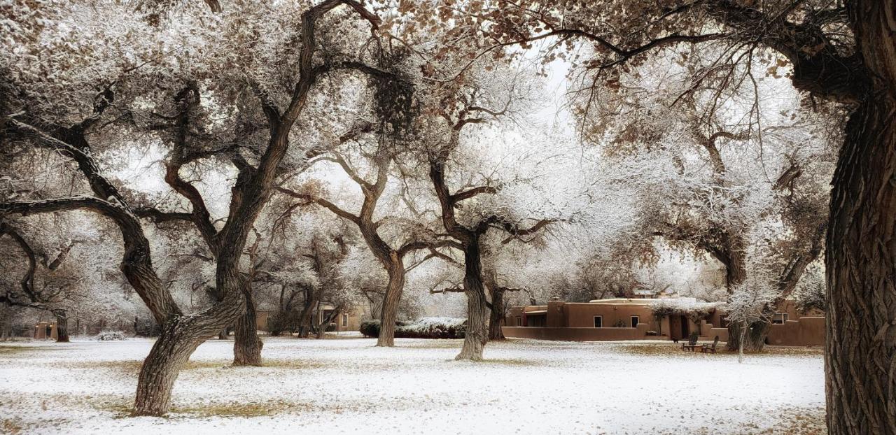 | Morning Star Bed & Breakfast of Corrales