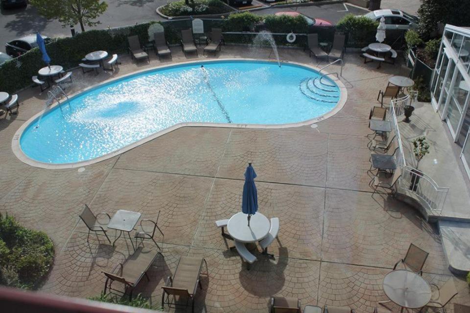 One-Bedroom Suite at Norwalk Inn & Conference Center