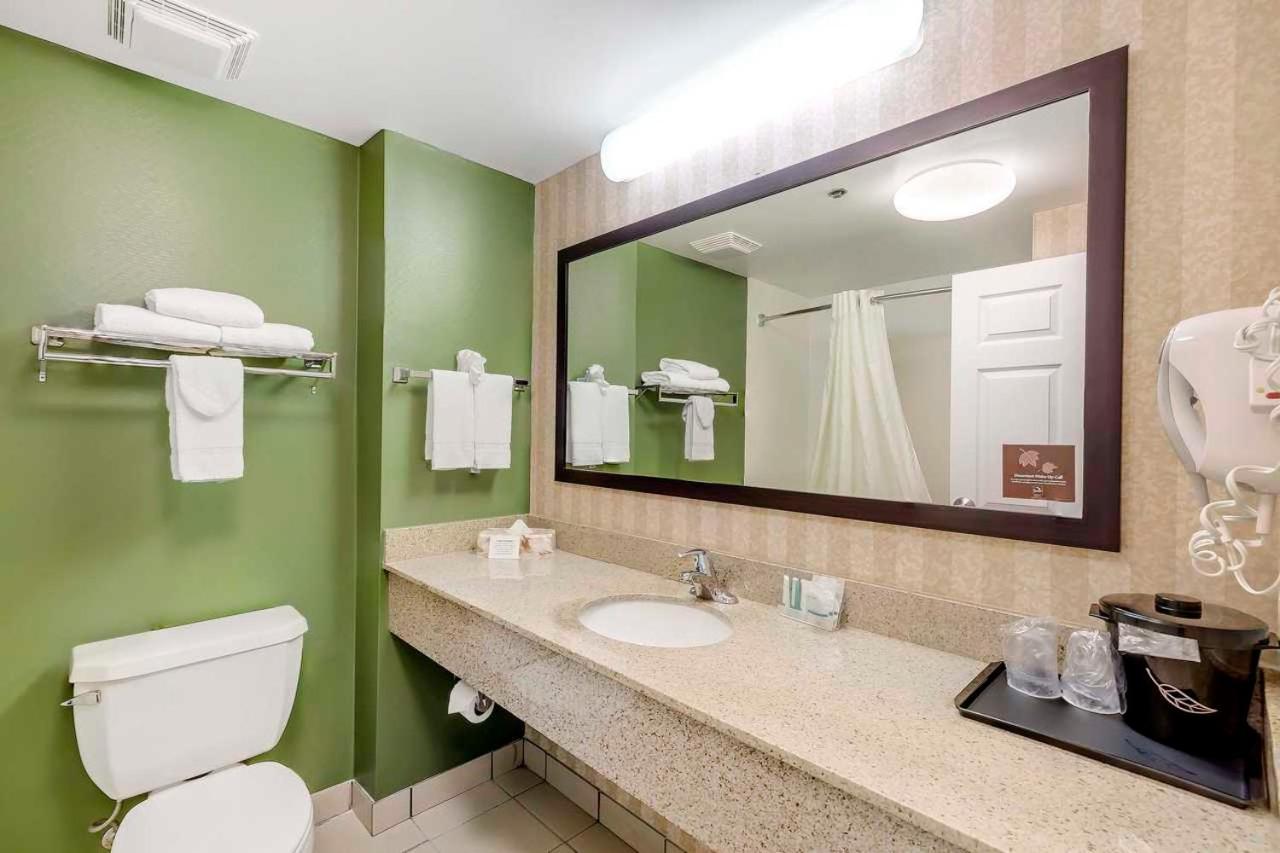 King Room - Non-Smoking at Sleep Inn Columbia Gateway