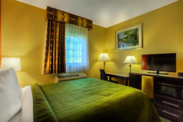 Queen Room - Disability Access/Non-Smoking at Quality Inn Fort Payne