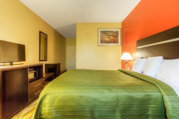 Queen Room - Disability Access/Non-Smoking at Quality Inn Fort Payne
