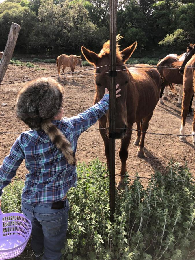  | Flying L Ranch Resort