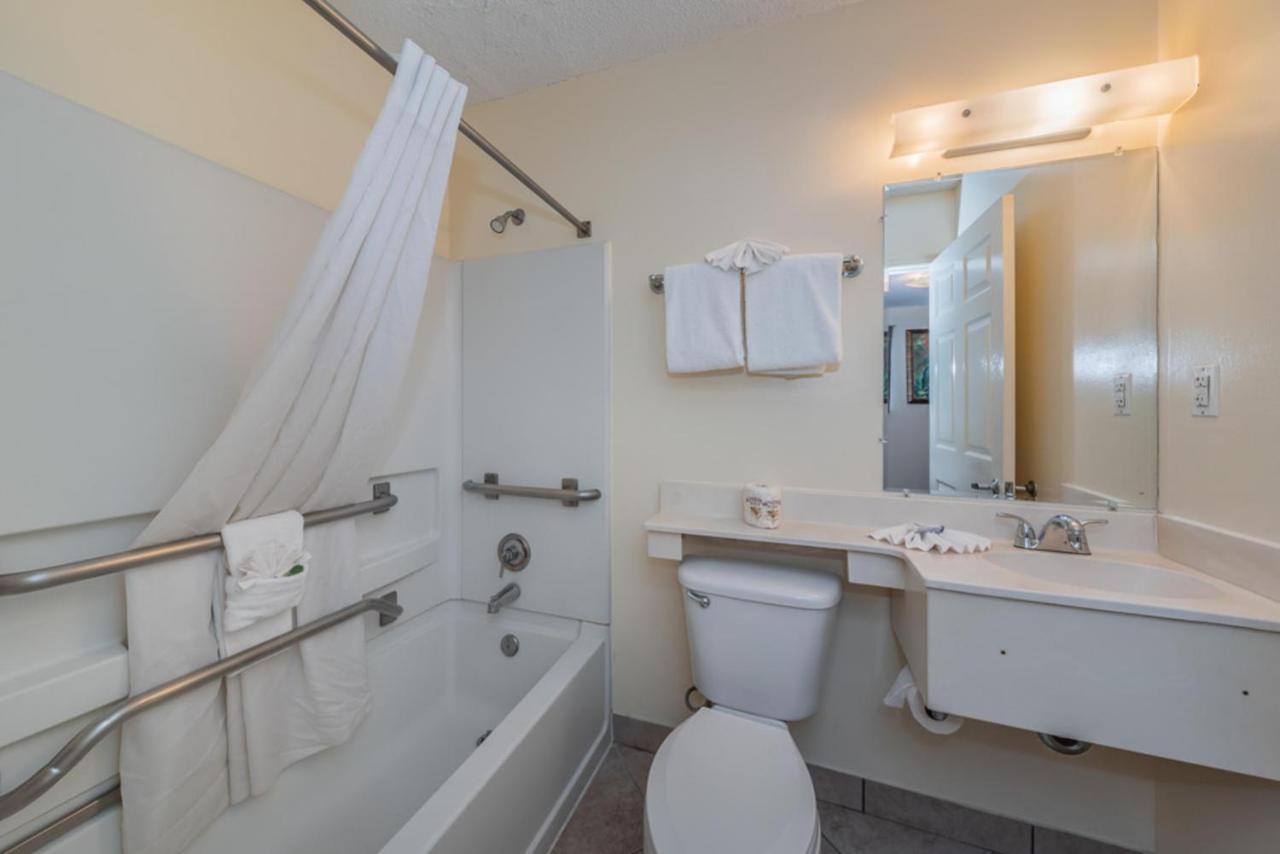 Upgraded Queen Non-Smoking, Kitchenette at Tampa Bay Extended Stay Hotel