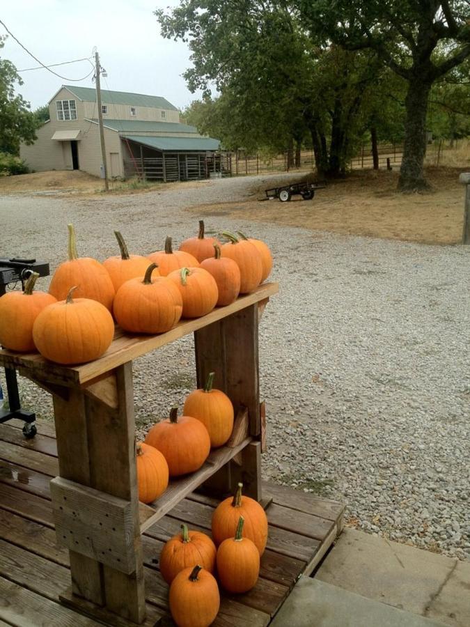| Netherfield Natural Farm