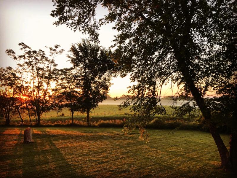 | Netherfield Natural Farm