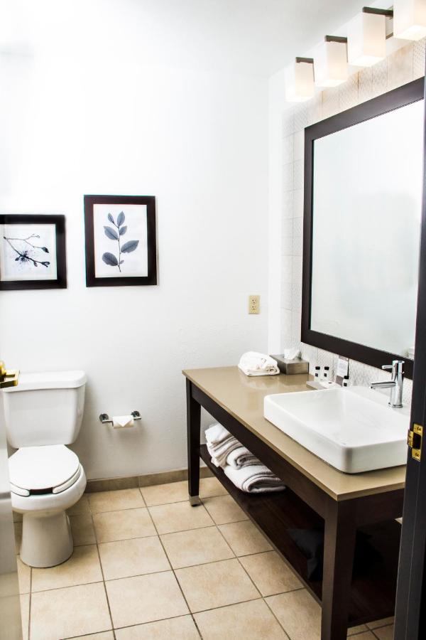 King Studio Suite - Non-Smoking at Country Inn & Suites by Radisson, Winchester, VA