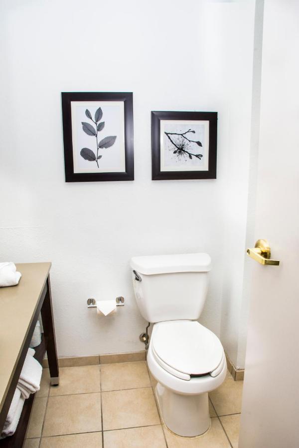 King Studio Suite - Non-Smoking at Country Inn & Suites by Radisson, Winchester, VA