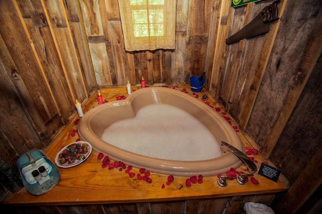 | 7F Lodge and Events