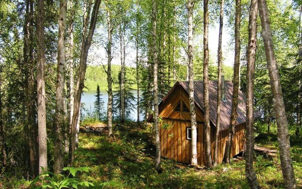 | Talkeetna Lakeside Cabins