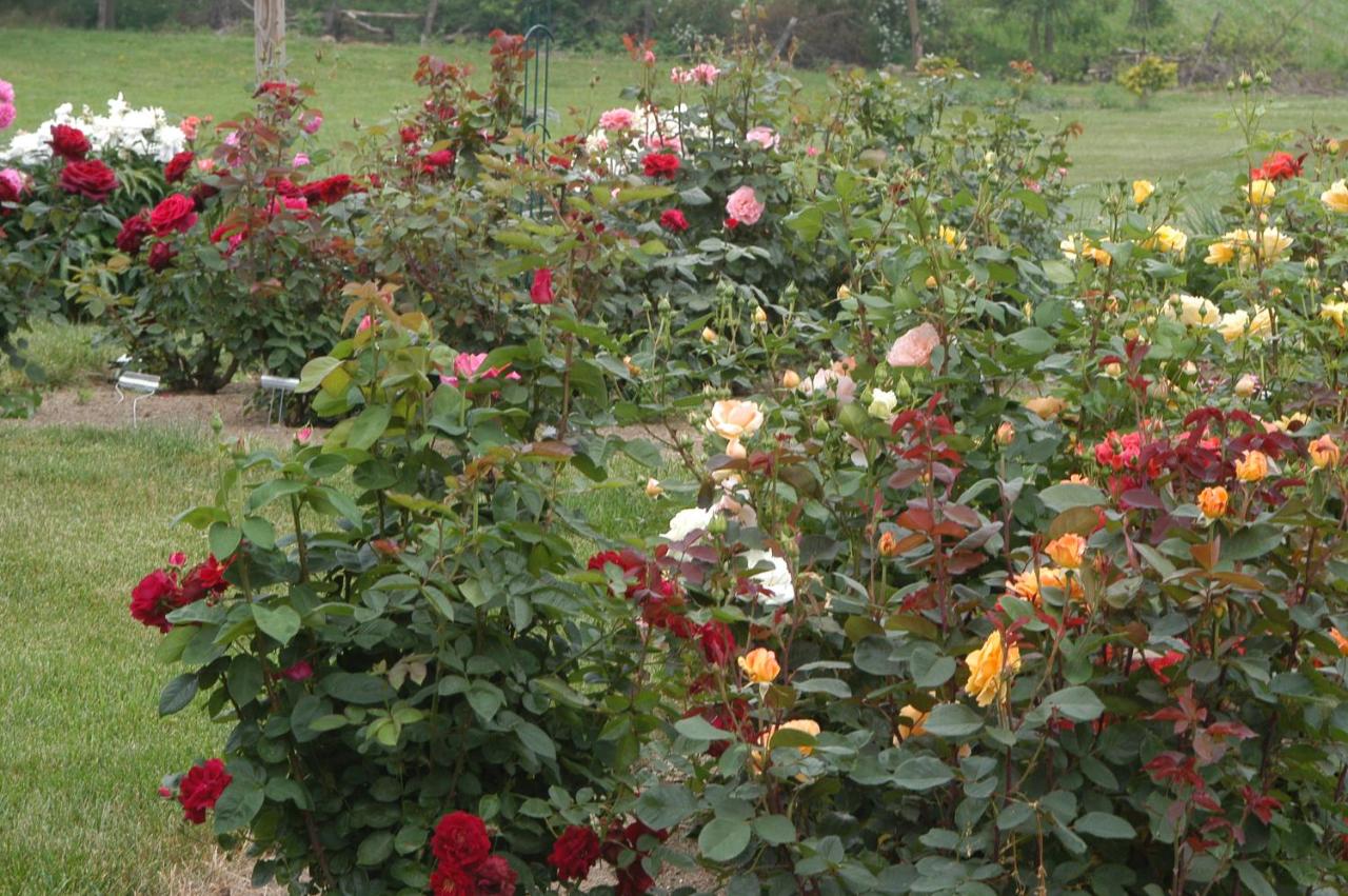  | Annville Inn Bed & Breakfast