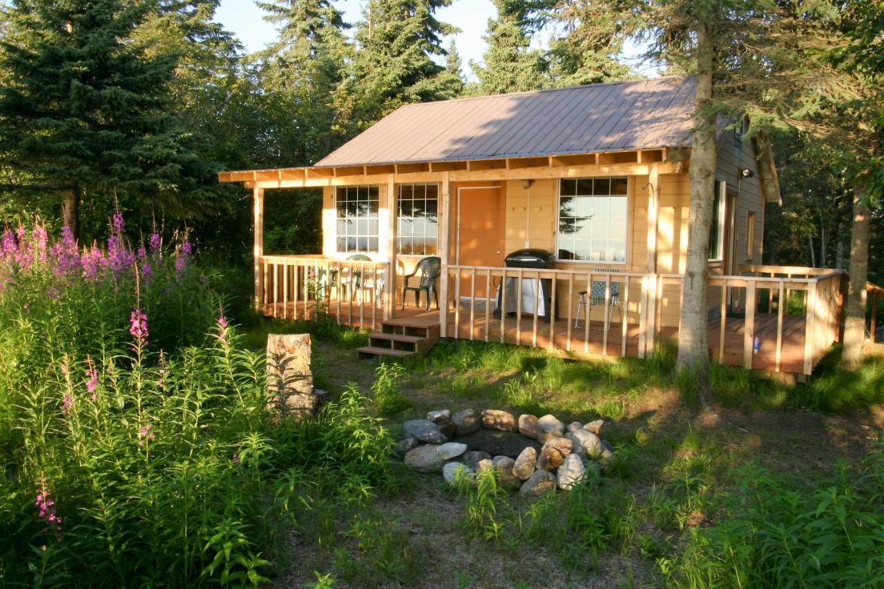 | Clam Gulch Lodge