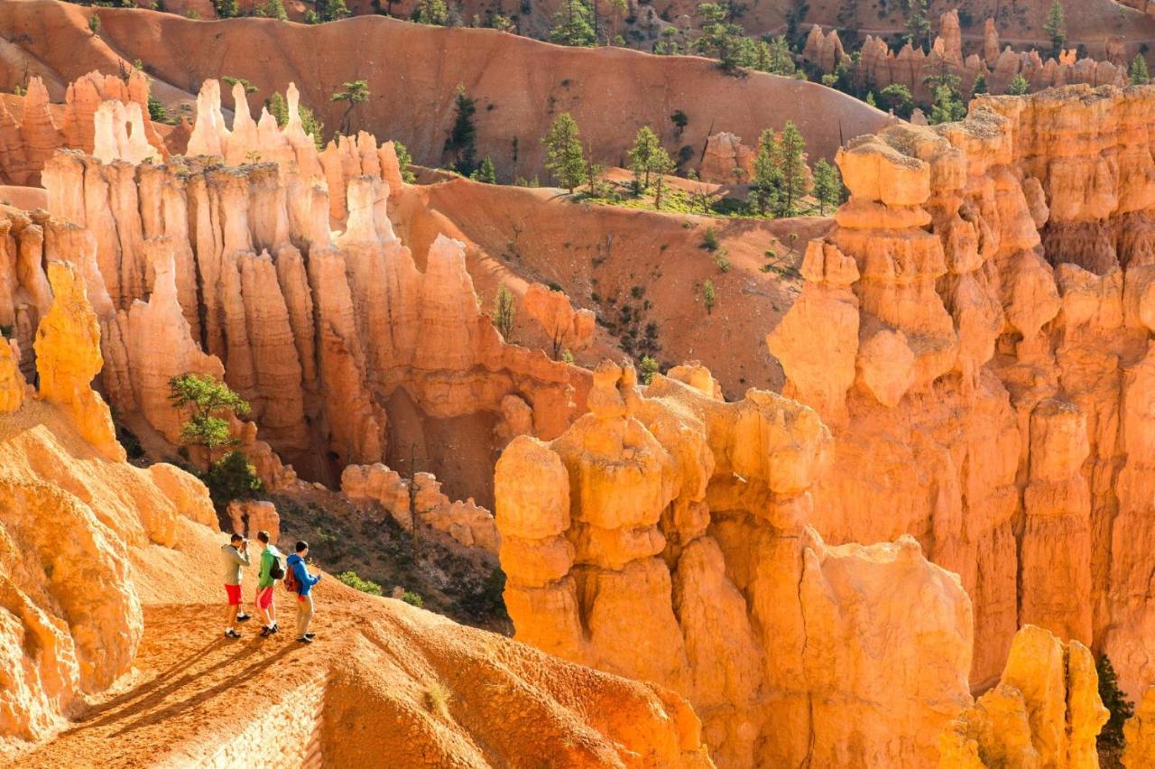 | Bryce Valley Lodging