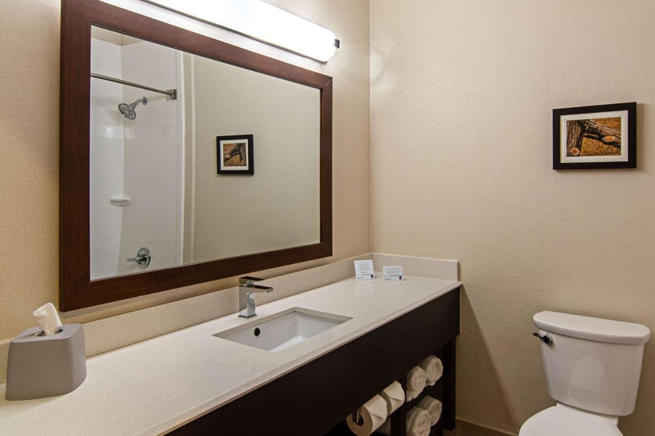 King Suite - Non-Smoking at Comfort Suites NW Dallas Near Love Field