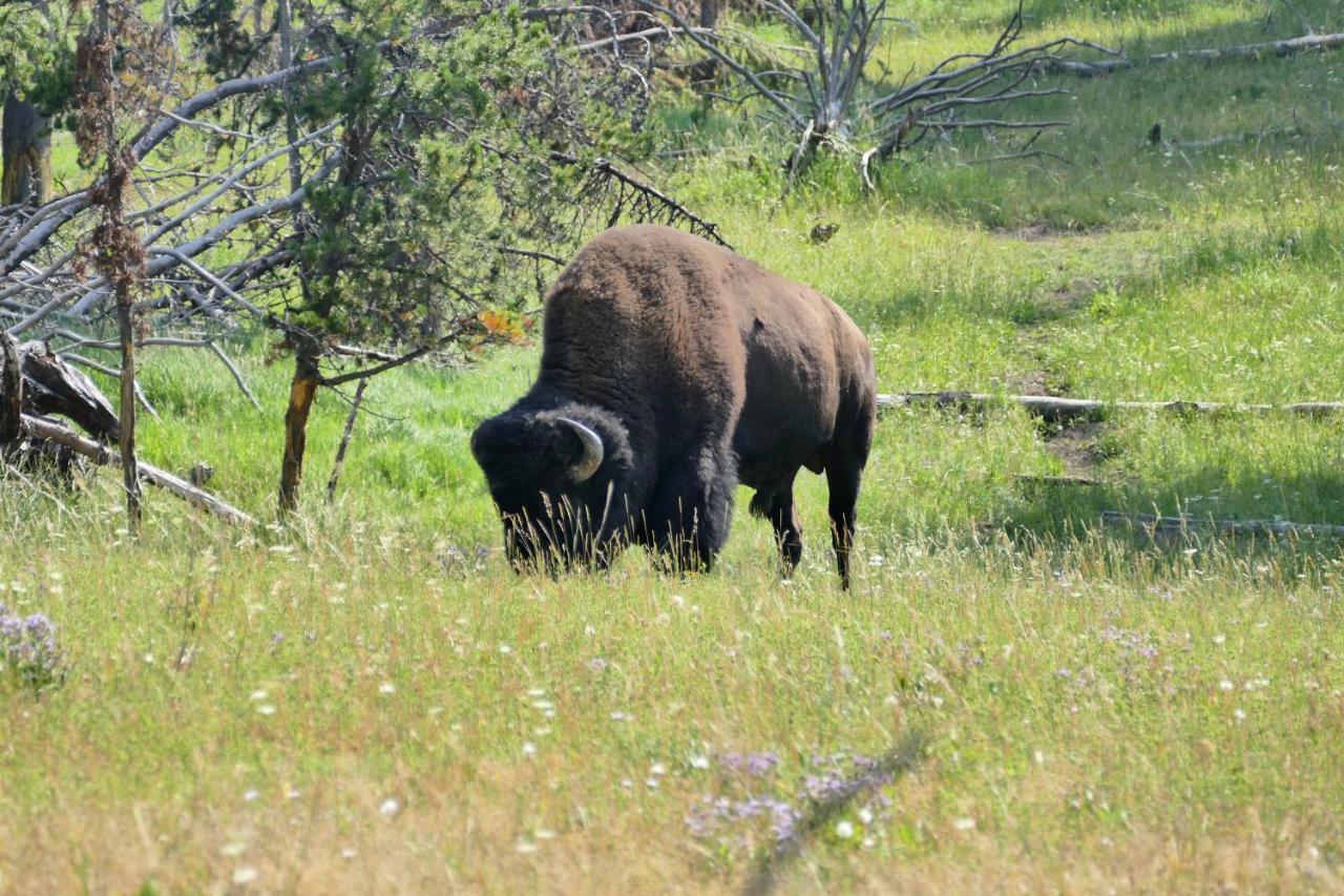 | Bill Cody Ranch