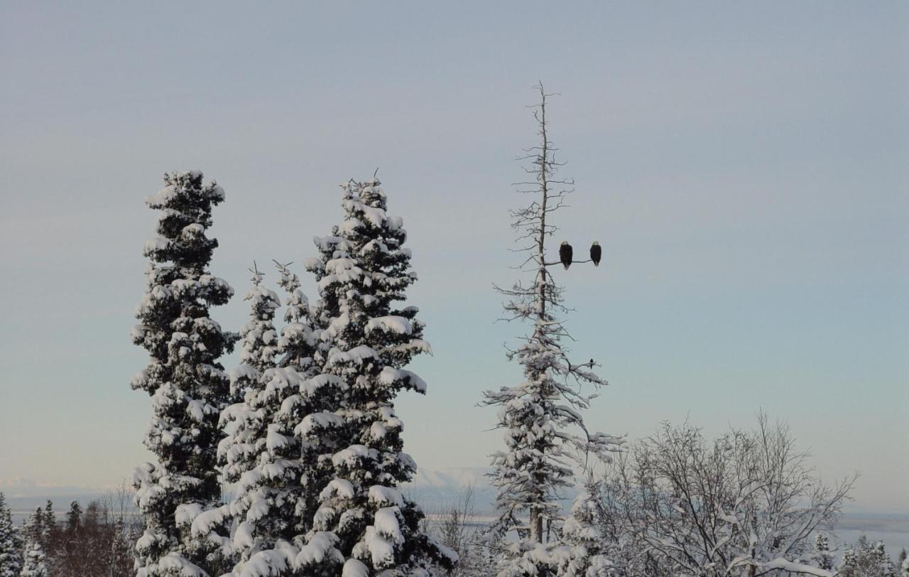 | Alaska Sundance Retreat Bed & Breakfast