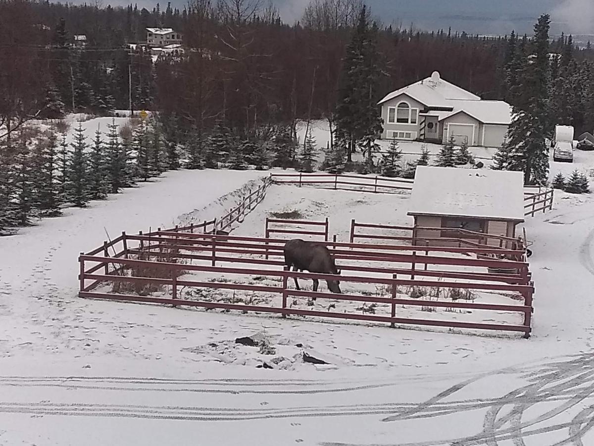 | Alaska Sundance Retreat Bed & Breakfast
