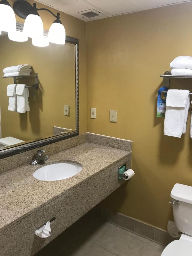 King Studio Suite - Mobility Access/Non-Smoking at Days Inn & Suites by Wyndham Tucker/Northlake
