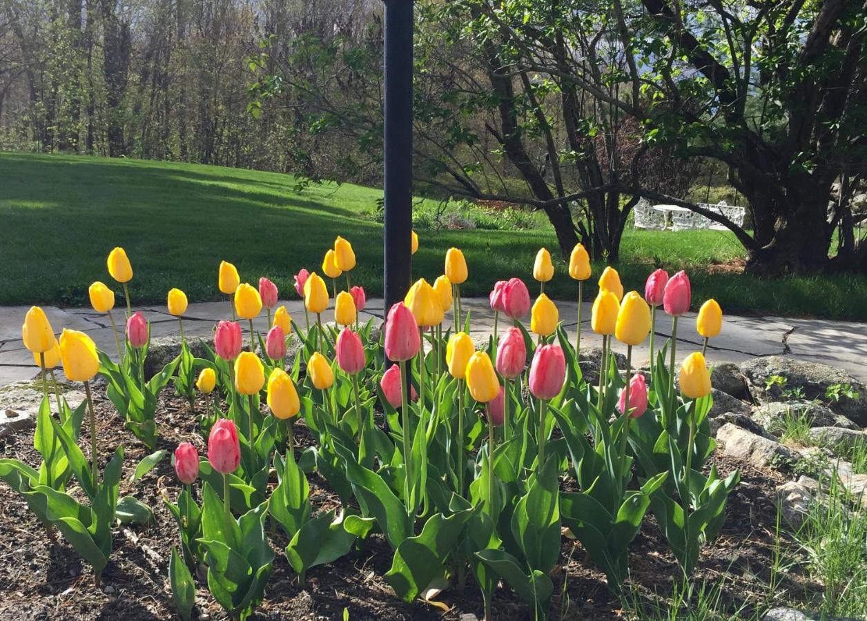 | Maguire House Bed and Breakfast