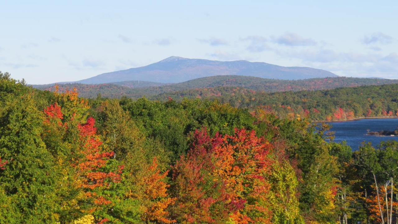 | Maguire House Bed and Breakfast