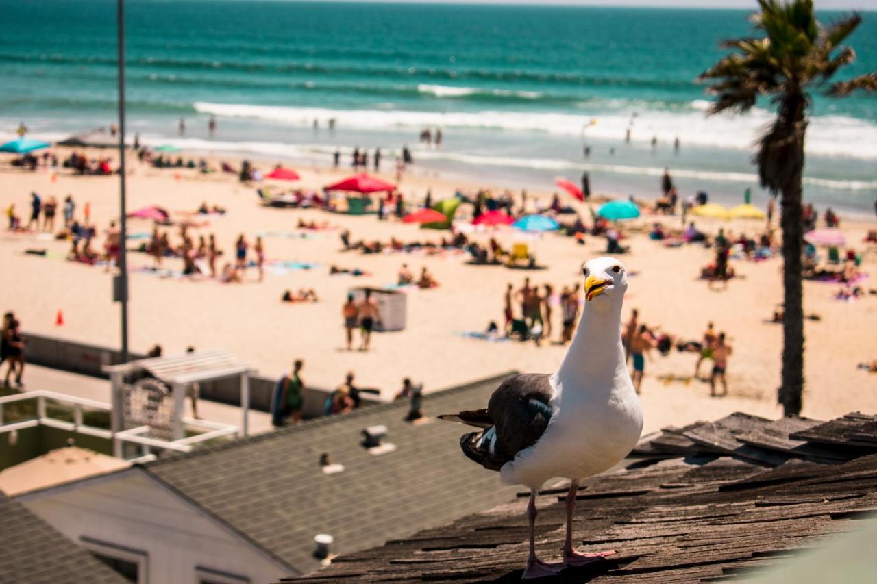  | The Beach Cottages