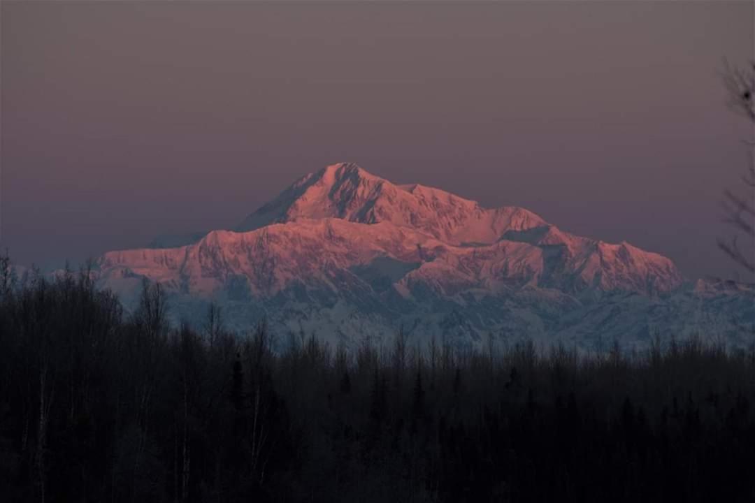 | Talkeetna Fireweed Cabins