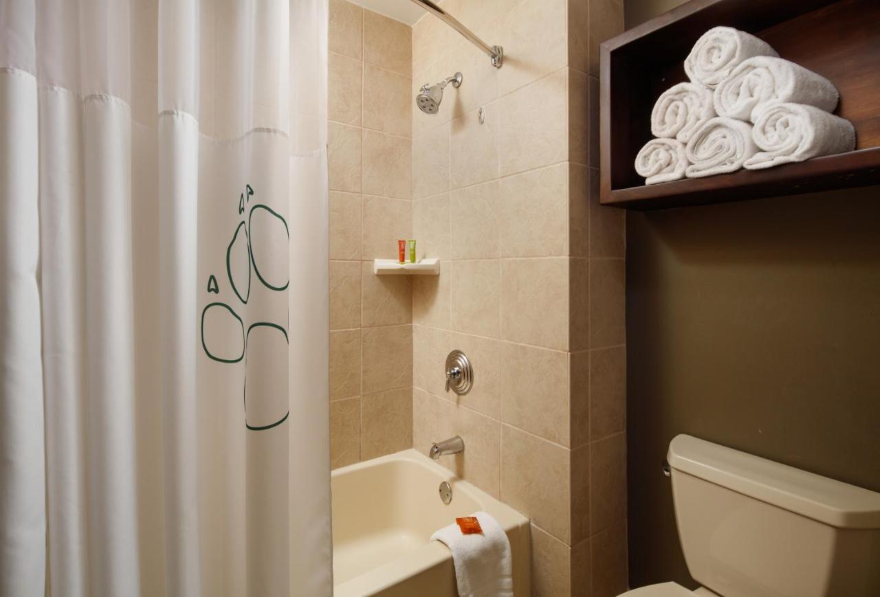 Grizzly Bear Suite at Great Wolf Lodge Pocono Mountains, PA