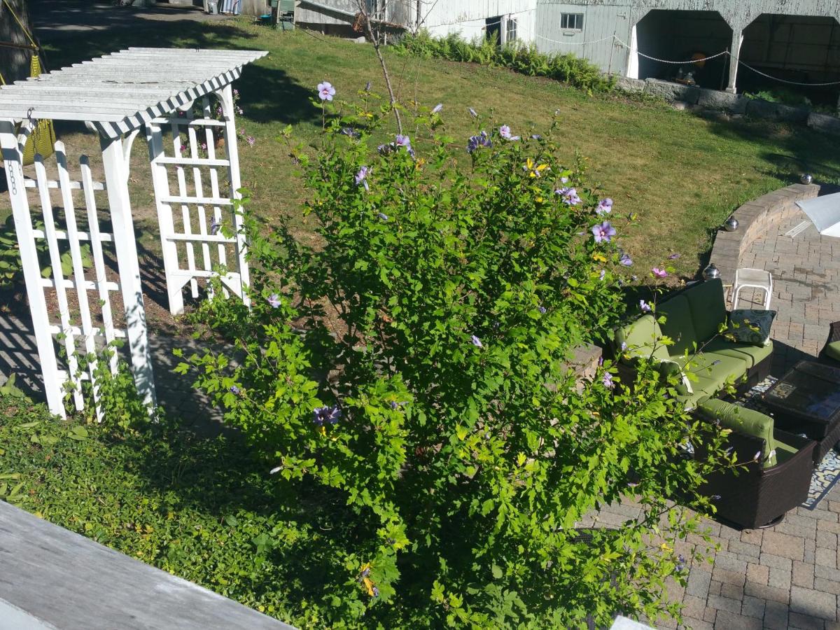 | The Bevin House B&B