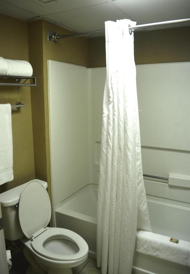 Executive King Room Suite - Non-Smoking at SureStay Plus Hotel by Best Western Roanoke Rapids I-95