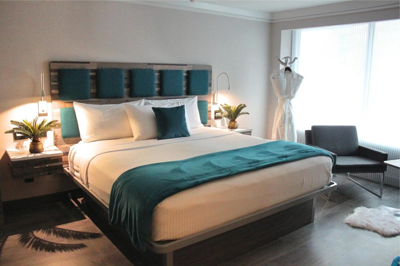 Signature Collection 1 King Bed at Hotel Le Bleu
