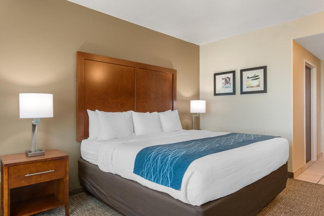 King Room - Non-Smoking at Comfort Inn & Suites Tavares North