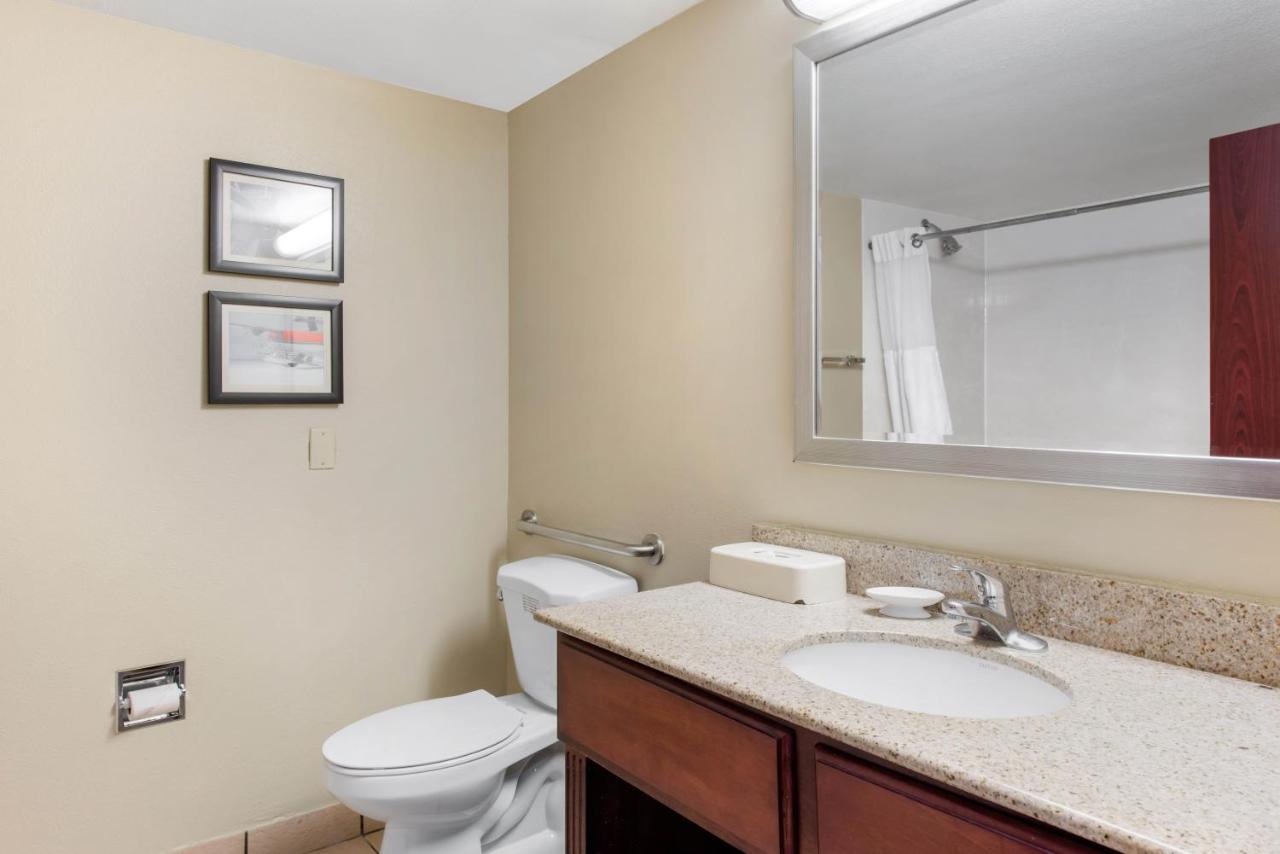 King Room - Non-Smoking at Comfort Inn & Suites Tavares North