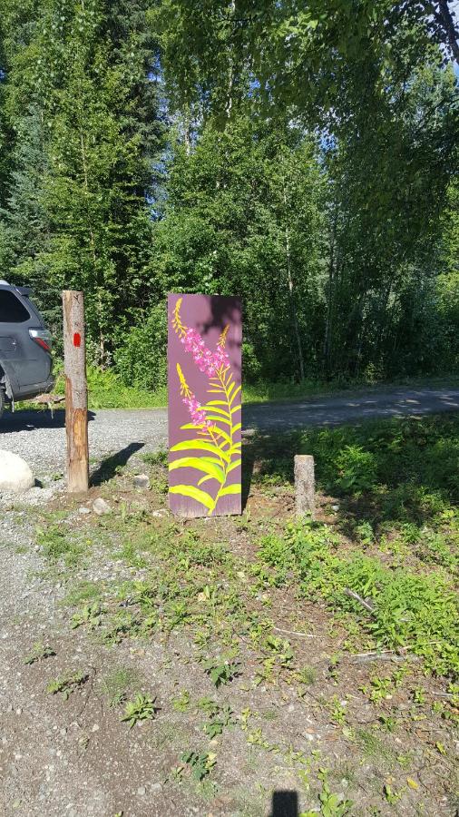 | Talkeetna Fireweed Cabins