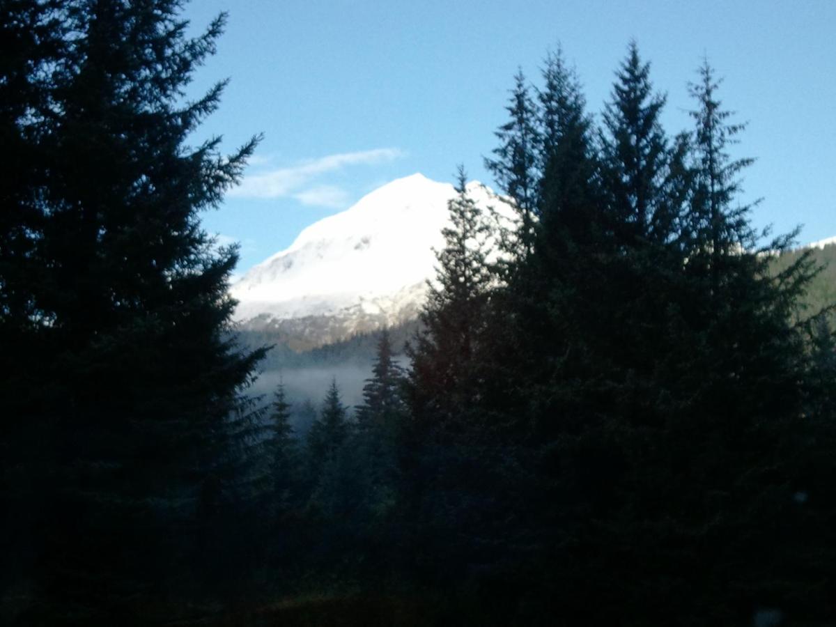  | Glacier Creek Lodging