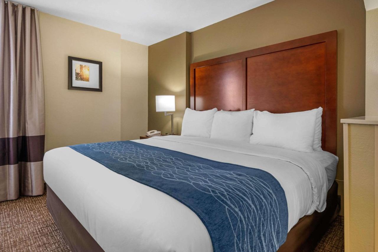 King Room with Sofa Bed - Non-Smoking at Comfort Inn Ocala Silver Springs