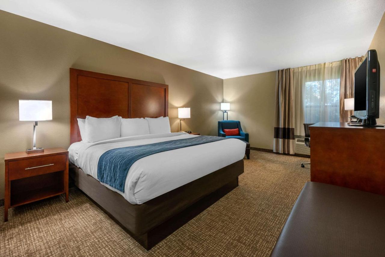 King Room with Sofa Bed - Non-Smoking at Comfort Inn Ocala Silver Springs