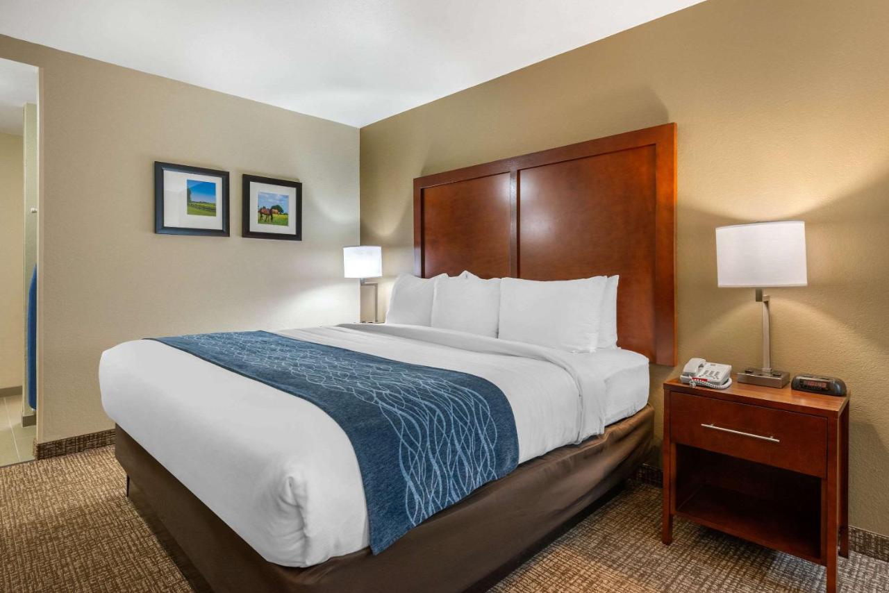 King Room with Sofa Bed - Non-Smoking at Comfort Inn Ocala Silver Springs