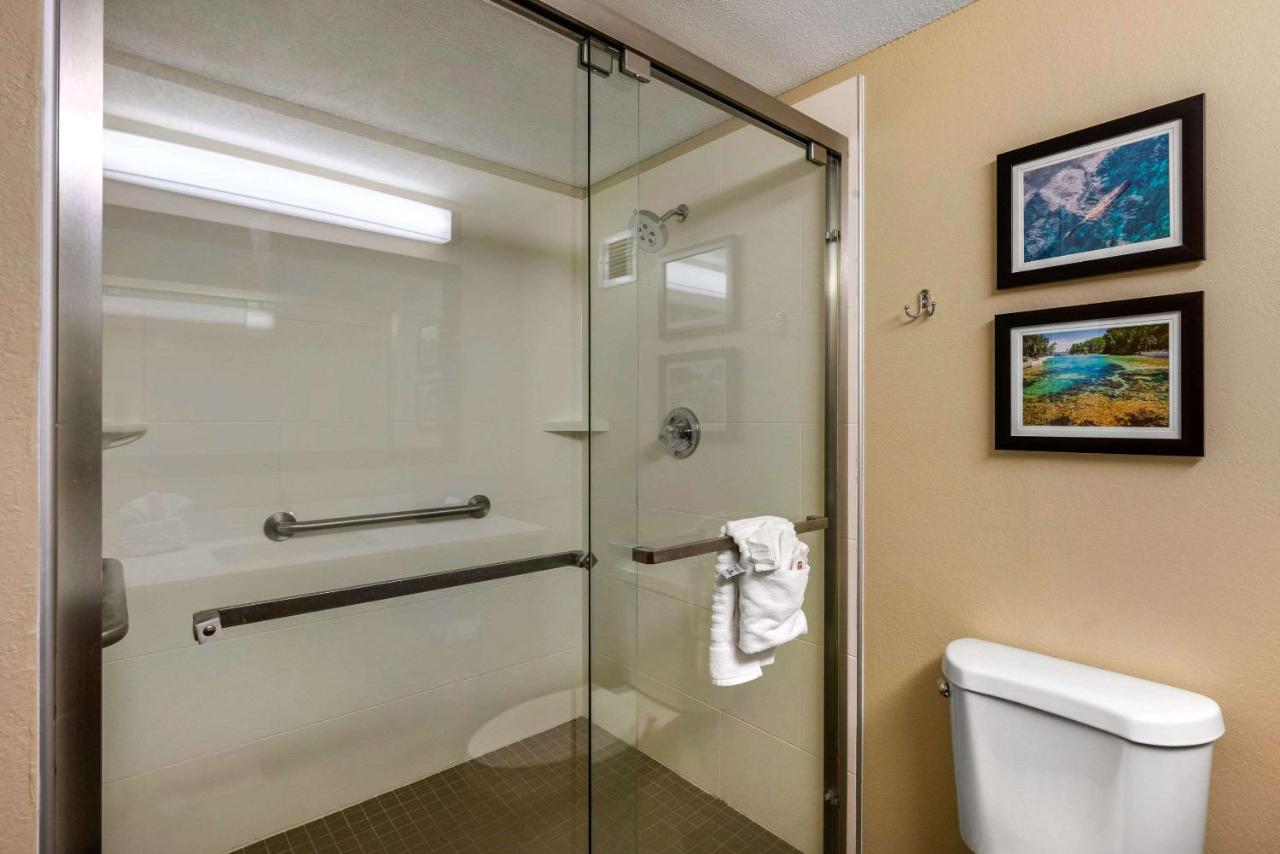 King Room with Sofa Bed - Non-Smoking at Comfort Inn Ocala Silver Springs
