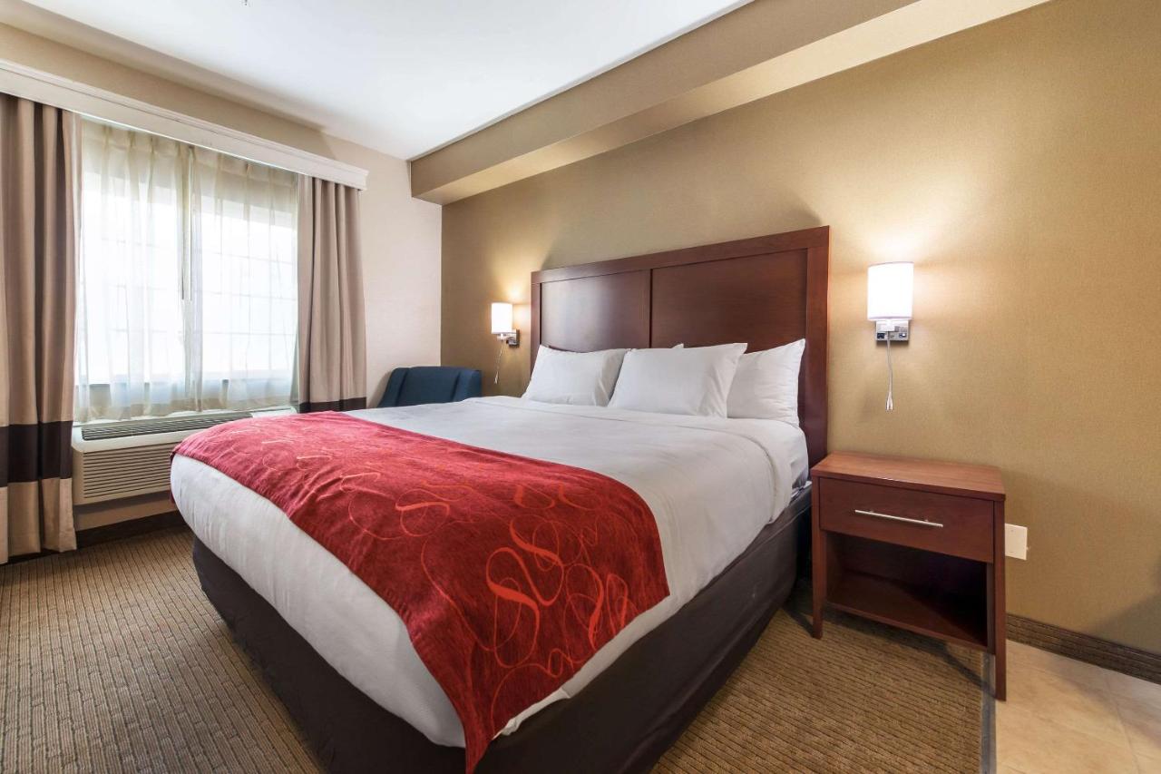 King Room at Comfort Suites Atlantic City North