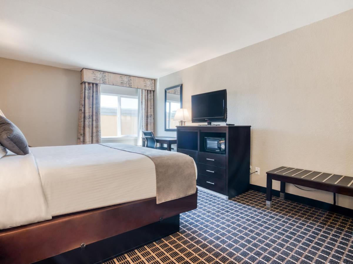 King Room at Alexis Hotel & Banquets Dallas Park Central Galleria