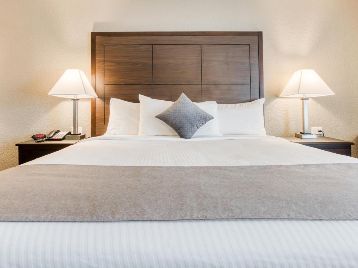 King Room at Alexis Hotel & Banquets Dallas Park Central Galleria
