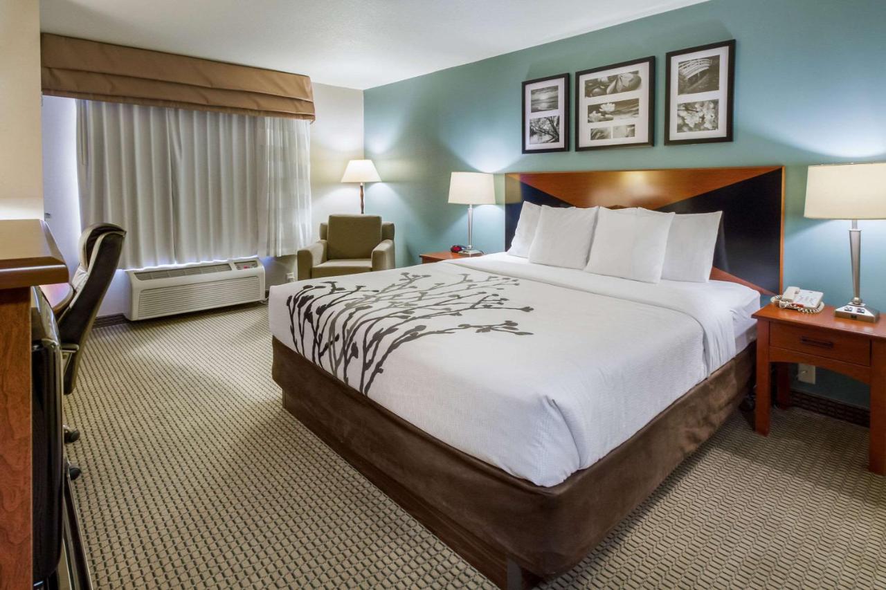 Deluxe King Room - Non-Smoking at Sleep Inn & Suites Rapid City