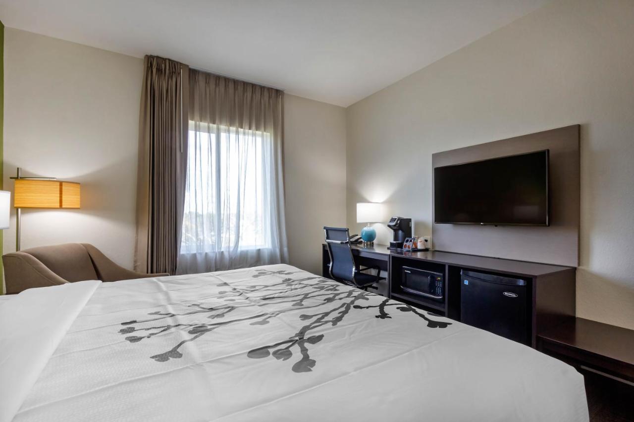 Standard King Room - Non-Smoking at Sleep Inn & Suites Tampa South