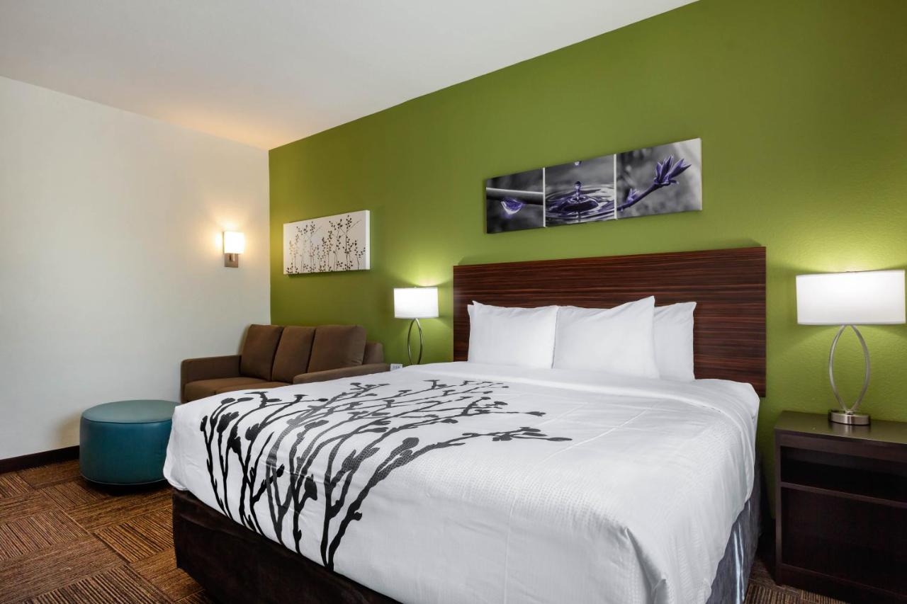 King Suite with Sofa Bed - Non-Smoking at Sleep Inn & Suites Tampa South