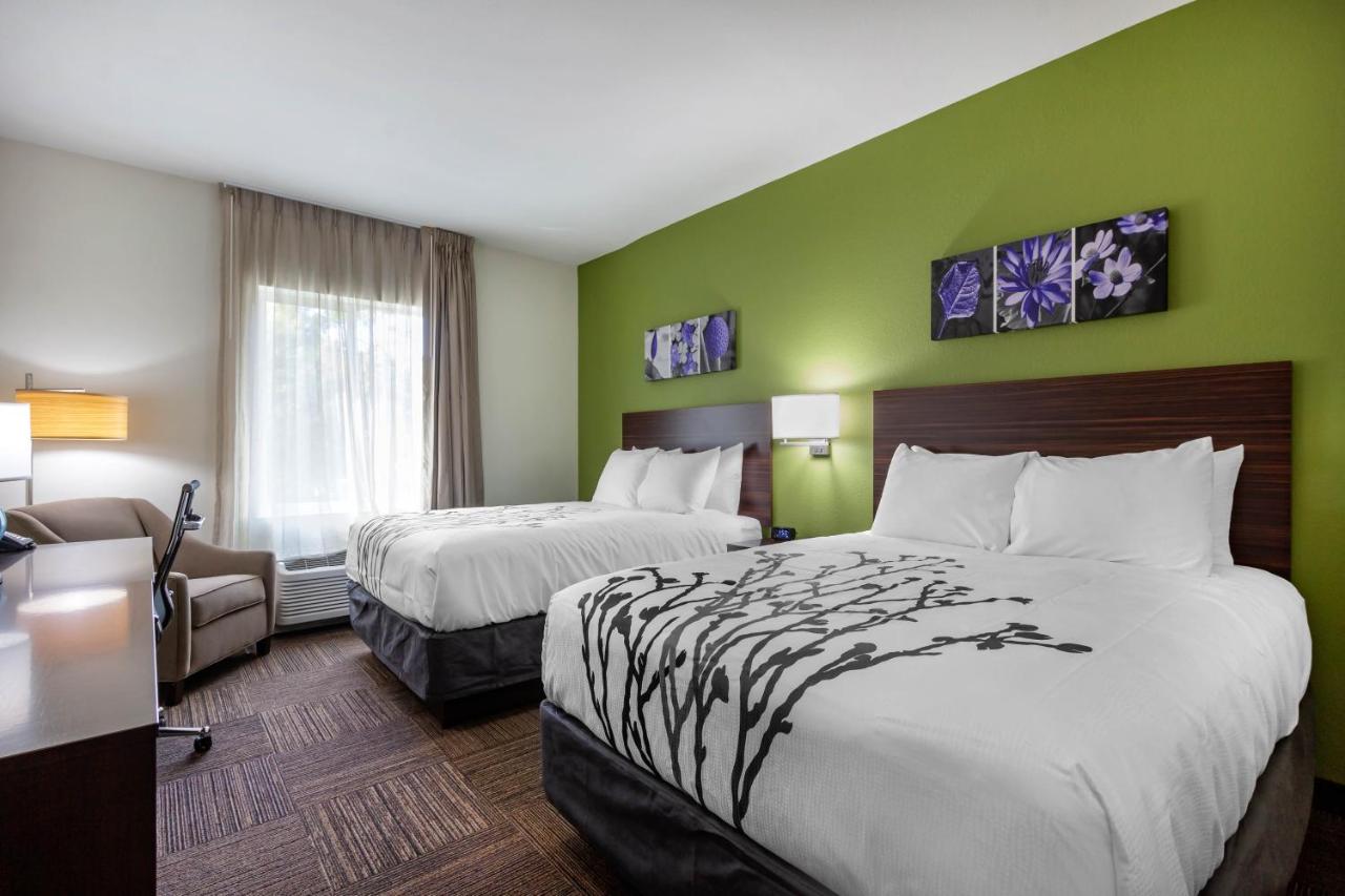 Standard Queen Room with Two Queen Beds - Non-Smoking at Sleep Inn & Suites Tampa South