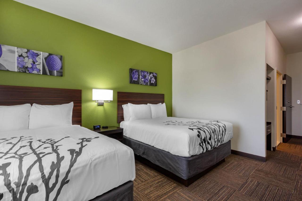 Queen Room with Two Queen Beds - Accessible/Non-Smoking at Sleep Inn & Suites Tampa South