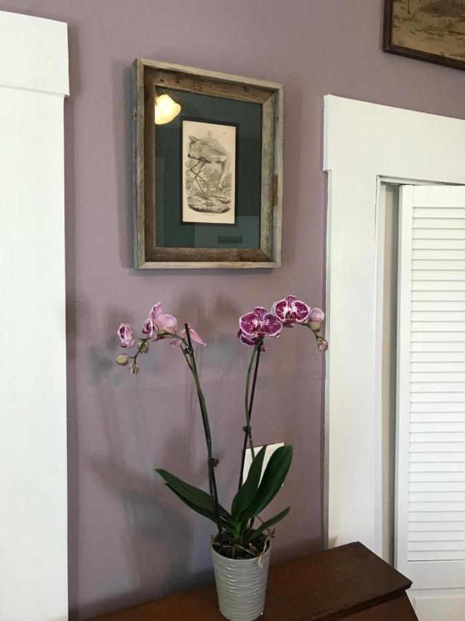 | Whooping Crane Manor B & B