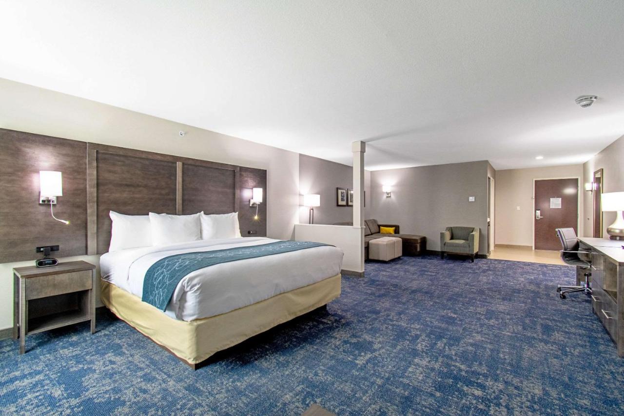 King Suite with Sofa Bed - Non-Smoking at Comfort Suites Humble Houston IAH
