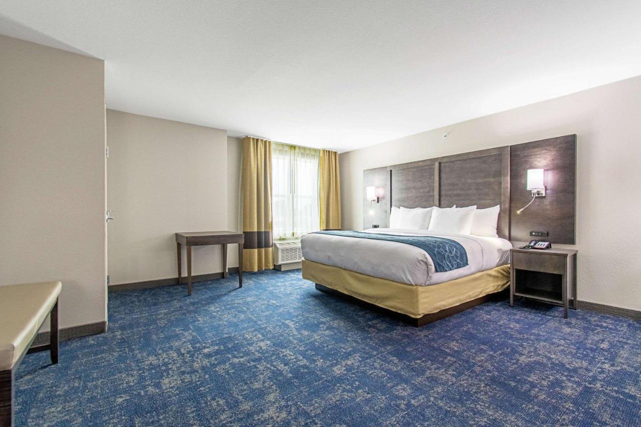 King Suite with Sofa Bed - Non-Smoking at Comfort Suites Humble Houston IAH