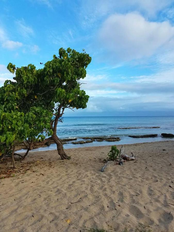 | Lahaina Wonderful Condos