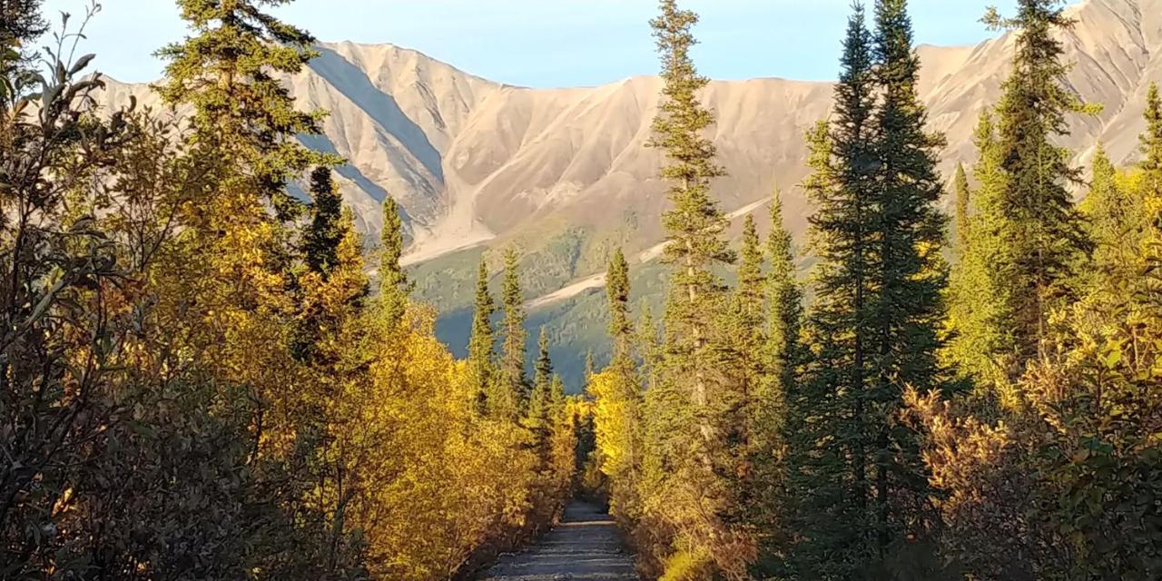 | Blackburn Cabins - McCarthy, Alaska